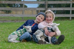 Narnu  Farm Farm stay/ School Camp - Port Augusta Accommodation